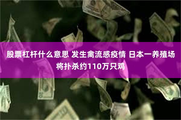 股票杠杆什么意思 发生禽流感疫情 日本一养殖场将扑杀约110万只鸡