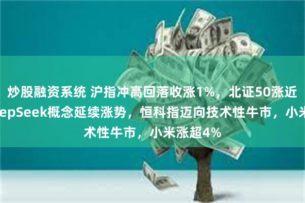 炒股融资系统 沪指冲高回落收涨1%，北证50涨近5%，DeepSeek概念延续涨势，恒科指迈向技术性牛市，小米涨超4%