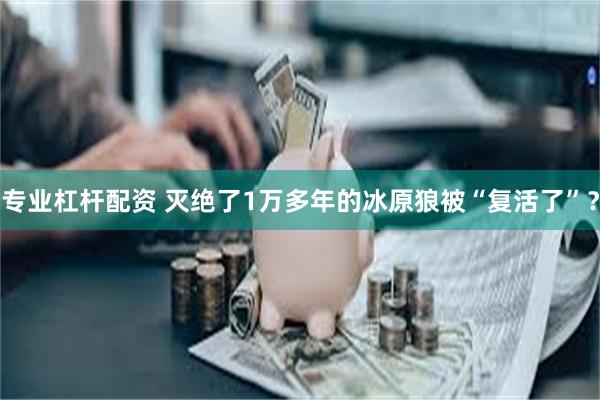 专业杠杆配资 灭绝了1万多年的冰原狼被“复活了”？