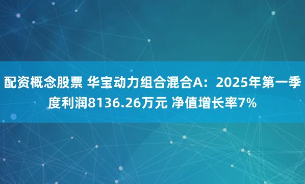 配资概念股票 华宝动力组合混合A：2025年第一季度利润8136.26万元 净值增长率7%