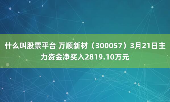 什么叫股票平台 万顺新材（300057）3月21日主力资金净买入2819.10万元