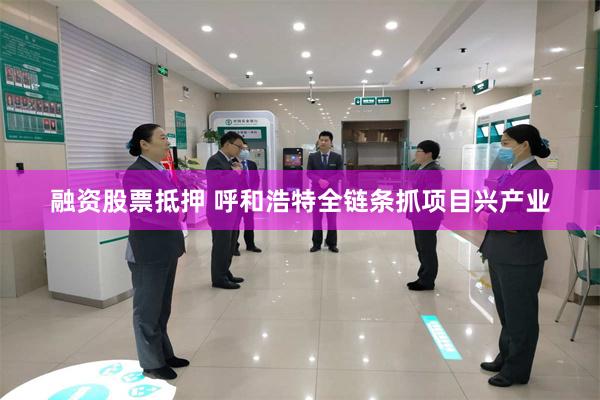 融资股票抵押 呼和浩特全链条抓项目兴产业