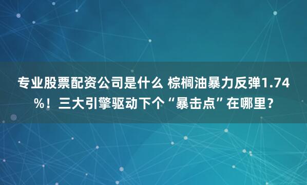 专业股票配资公司是什么 棕榈油暴力反弹1.74%！三大引擎驱动下个“暴击点”在哪里？