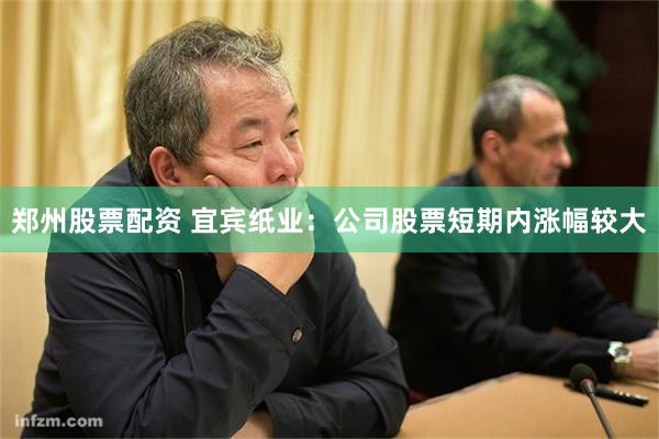 郑州股票配资 宜宾纸业：公司股票短期内涨幅较大
