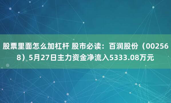 股票里面怎么加杠杆 股市必读：百润股份（002568）5月27日主力资金净流入5333.08万元