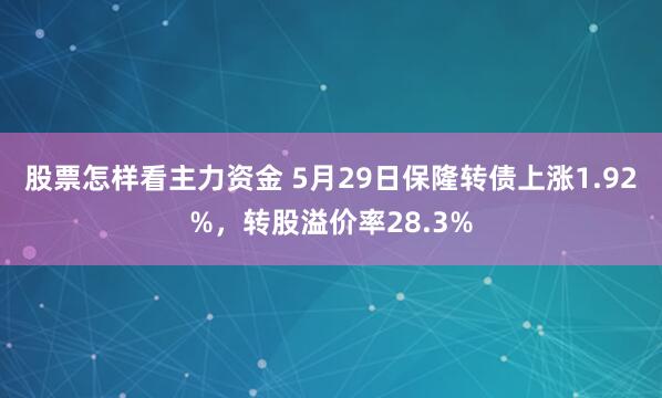 股票怎样看主力资金 5月29日保隆转债上涨1.92%，转股溢价率28.3%